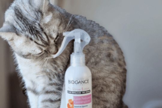 Soins et Lotions pour chat - inooko