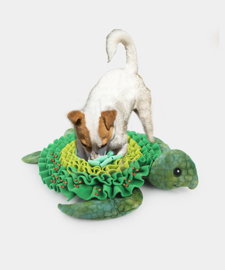 AFP-tapis-de-fouille-pour-chien-enrichissement-tortue
