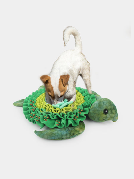 AFP-tapis-de-fouille-pour-chien-enrichissement-tortue