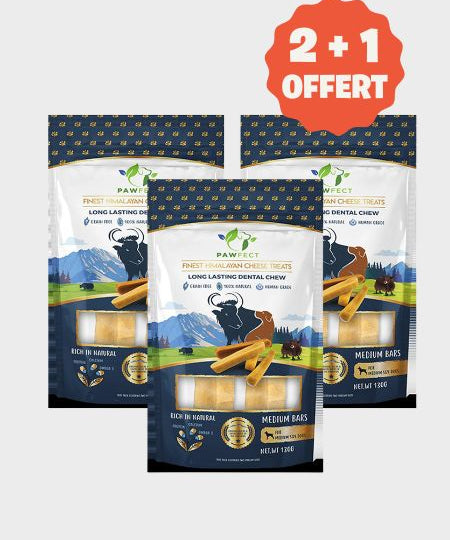 Barres de Fromage de Yak pour chien - Taille M - Pawfect offre 2+1 offert