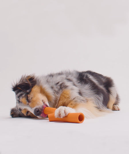 Beco-pets-jouet-a-baton-Super-Stick-resistant-orange
