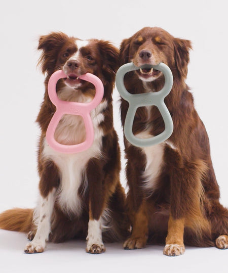 Beco-pets-jouet-a-tirer-tug-Tough-Tugger-resistant-rose