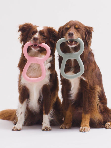 Beco-pets-jouet-a-tirer-tug-Tough-Tugger-resistant-rose