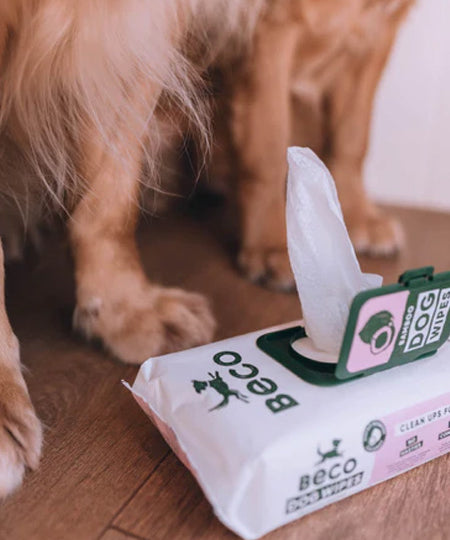 Becopets-lingettes-bambou-eco-friendly-ecologique-pour-chien-noix-de-coco