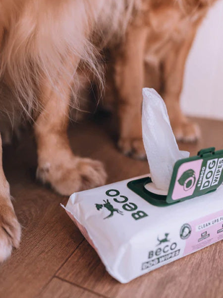 Becopets-lingettes-bambou-eco-friendly-ecologique-pour-chien-noix-de-coco