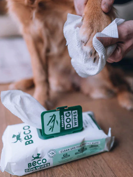 80 Lingettes lavantes pour chien - Compostables - Sans parfum – inooko