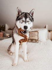 Benebone-jouet-a-macher-pour-chien-beef-tripe