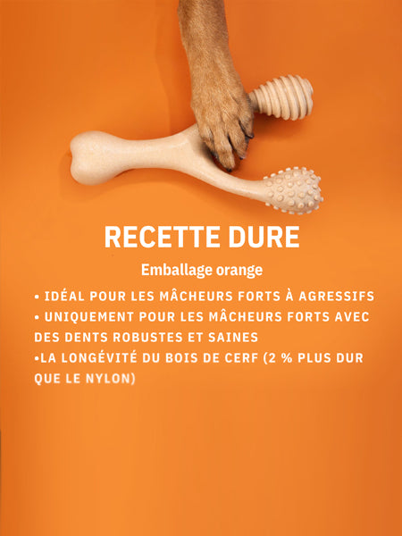 Betterbone-jouet-a-macher-pour-chien-naturel-hard-chew