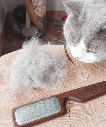 Biogance-brosse-carde-toilettage-chien