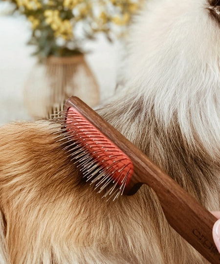 Biogance-brosse-demelante-toilettage-chien