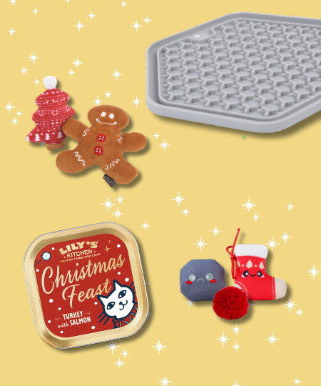 Box de Noël pour chat - Gingy Kitty