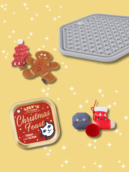 Box de Noël pour chat - Gingy Kitty