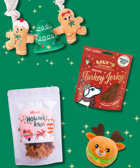 Boxdenoelpourchienetchatinooko_11_6ecd17c5-eb15-4e40-aefb-8f23a04b1d2c.png