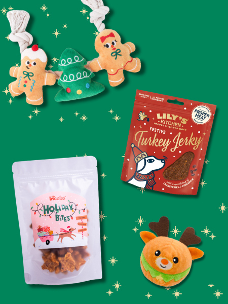 Box de Noël pour chien - Cadeau Gourmand