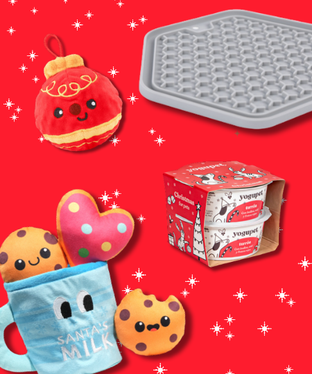 Box de Noël pour chien - Santa Paws Cookies