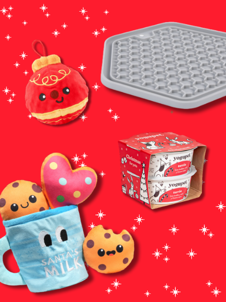 Box de Noël pour chien - Santa Paws Cookies