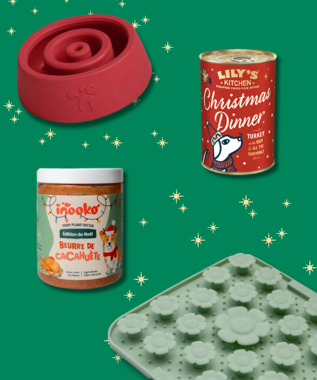 Box de noël pour chien - Pause gourmande