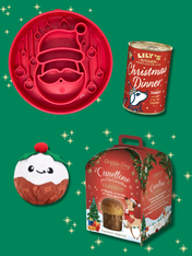 Box de Noël pour chien - Festin de Noël
