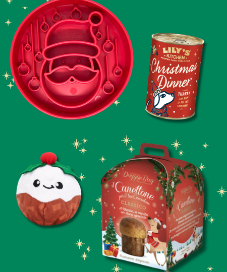Box de Noël pour chien - Festin de Noël