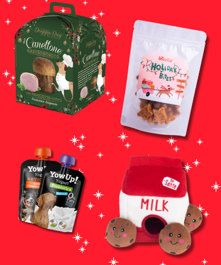 Box de Noël pour chien - Sélection du Père Noël