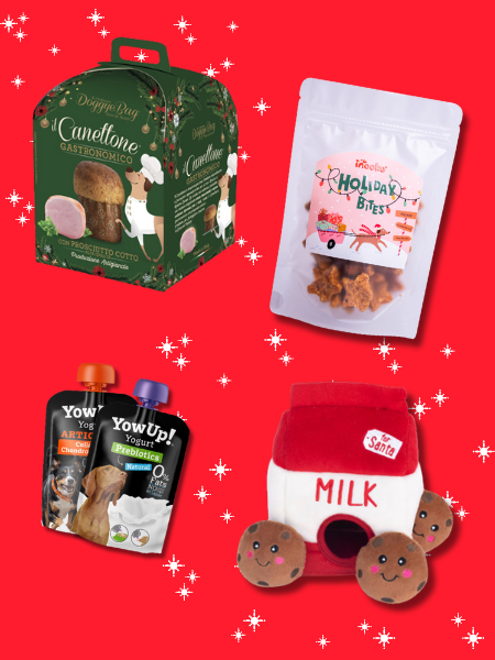 Box de Noël pour chien - Sélection du Père Noël