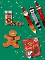 Box de Noël pour chien - Mr Pain d'épices