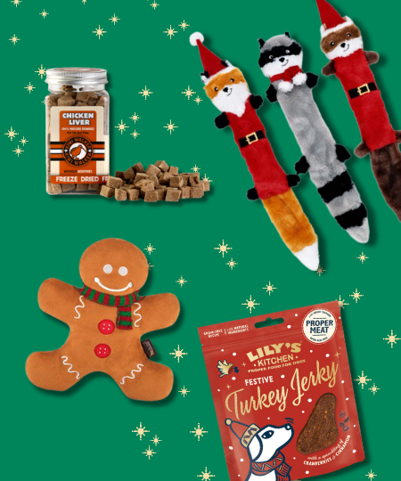 Box de Noël pour chien - Mr Pain d'épices