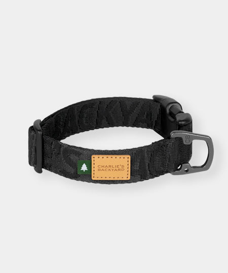 Charlie_s-Backyard-collier-pour-chien-TOWN-BASIC-noir