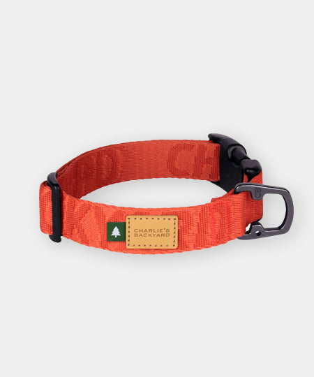 Charlie_s-Backyard-collier-pour-chien-TOWN-BASIC-orange