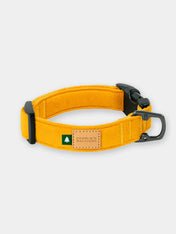 Charlie_s-Backyard-collier-pour-chien-town-jaune