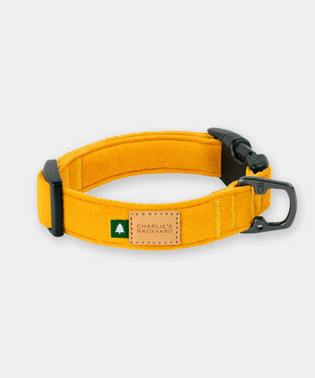 Charlie_s-Backyard-collier-pour-chien-town-jaune