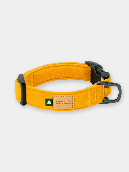Charlie_s-Backyard-collier-pour-chien-town-jaune