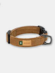 Charlie_s-Backyard-collier-pour-chien-town-marron