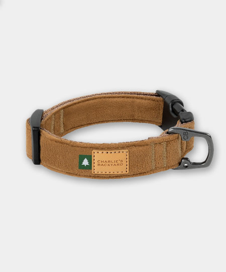 Charlie_s-Backyard-collier-pour-chien-town-marron