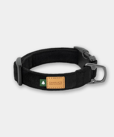 Charlie_s-Backyard-collier-pour-chien-town-noir