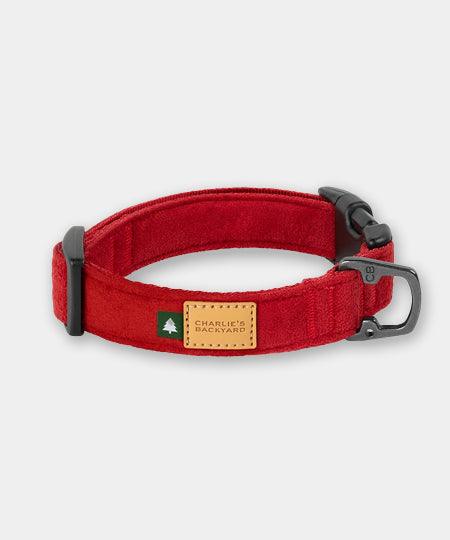Charlie_s-Backyard-collier-pour-chien-town-rouge