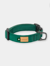 Charlie_s-Backyard-collier-pour-chien-town-vert
