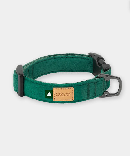 Charlie_s-Backyard-collier-pour-chien-town-vert