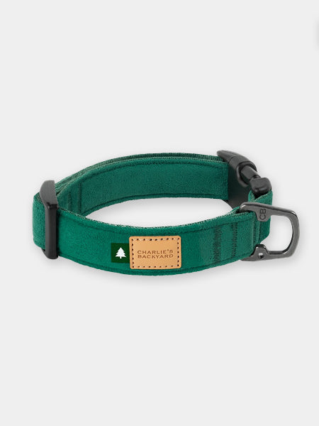 Charlie_s-Backyard-collier-pour-chien-town-vert