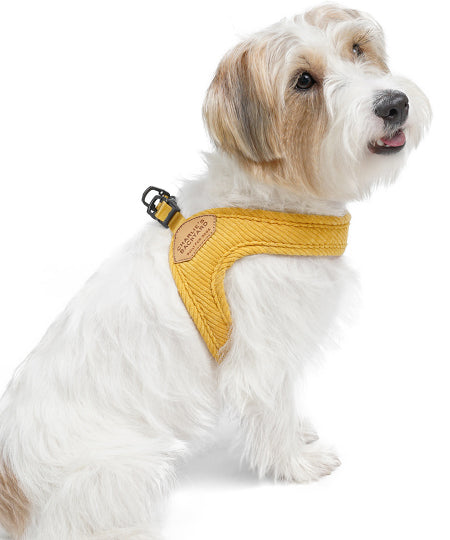 Charlie_s-Backyard-harnais-roy-pour-chien-jaune