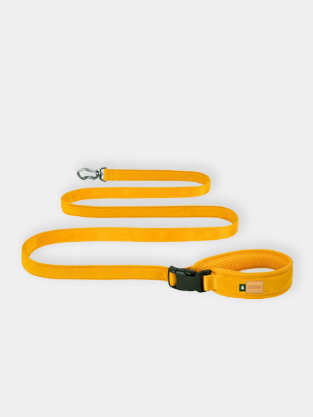 Charlie_s-Backyard-laisse-ajustable-pour-chien-town-jaune
