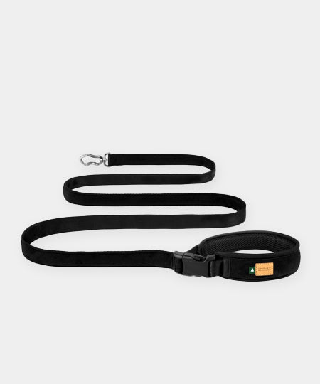 Charlie_s-Backyard-laisse-ajustable-pour-chien-town-noir