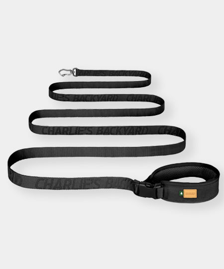 Charlie_s-Backyard-laisse-multiposition-pour-chien-TOWN-BASIC-noir