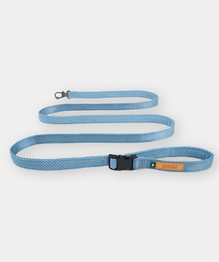 Charlie_s-Backyard-laisse-pour-chien-roy-bleu
