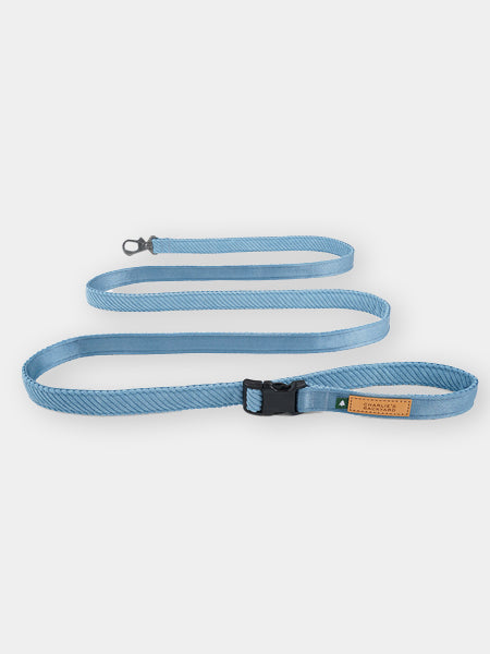 Charlie_s-Backyard-laisse-pour-chien-roy-bleu