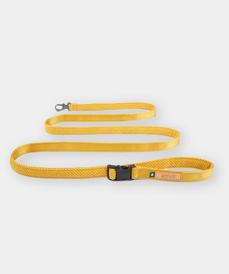 Charlie_s-Backyard-laisse-pour-chien-roy-jaune
