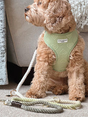 Cocopup-london-laisse-ajustable-corde-vert-pistache