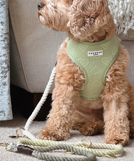 Cocopup-london-laisse-ajustable-corde-vert-pistache