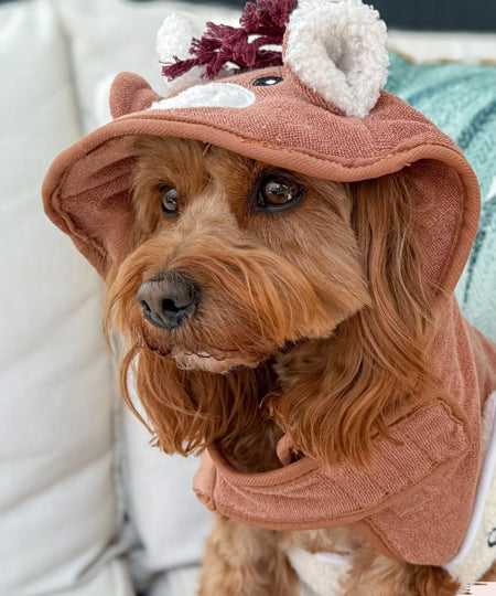 Cocopup-london-peignoir-pour-chien-vache-highland