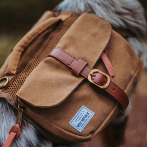 Collection-sortir-accessoires-solide-original-pour-balader-son-chien-harnais-wolf-republic-ranger-pack-copenhagen-500x500px